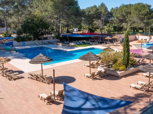 Plages pour Chiens : Baignade Autorisée dans le Var